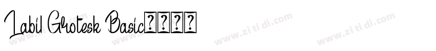 Labil Grotesk Basic字体转换